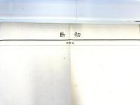 【古地図】初島　二万五千分之一地形図 小田原近傍9号（共15面）　明治18年測図・昭和8年修正　日本陸軍参謀本部発行　シミあり 1933