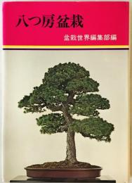 八つ房盆栽