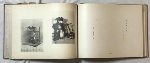 色紙 野の花・歳時記 上下巻セット 色紙 野の花・歳時記 上下巻セット（俳句と写真による 色紙 野の