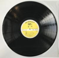 レコード　さだまさし - 帰郷 - FFR-12512