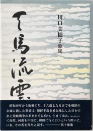 天馬流雲 : 川口美根子歌集