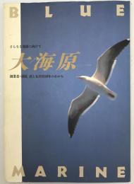 大海原 : さらなる発展に向けて 創業者・国弘直と太洋社50年のあゆみ