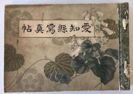 【写真帖】愛知縣寫真帖　愛知縣協賛會　明治43年3月　少々イタミ・ヤケ・汚れあり