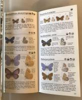 【古本】SOMMERFUGLE GUIDE　Paul Whalley Richard Lewington Michael Stoltze　Politiken　1996年　カバー付　デンマーク語　概ね美品