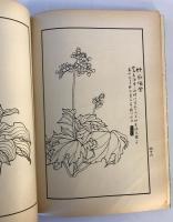 【古本】名家花卉畫譜 Facsimiles of Flower-Paintings by Chinese Old Masters　香港南山出版社 出版　ヤケ・少々汚れ・穴・シミあり
