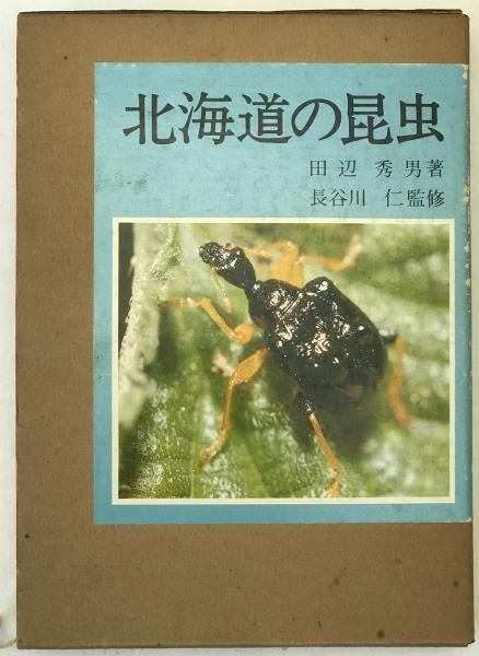 近世文芸資料11 竹斎物語集(前田金五郎 編) / 株式会社 wit tech