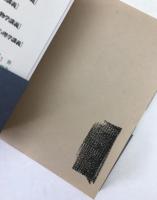 魂にメスはいらない : ユング心理学講義