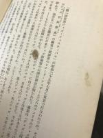 ブルースの魂 : 白いアメリカの黒い音楽