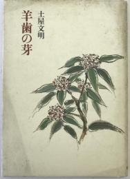 羊歯の芽