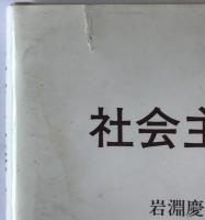 社会主義市場疎外