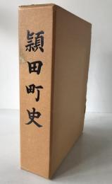 頴田町史