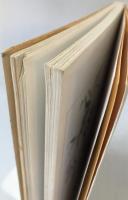 書のたのしみ花のうたを書く