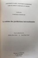 La saisine des juridictions internationales (フランス語版)