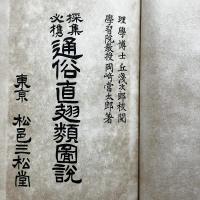採集必携通俗直翅類図説