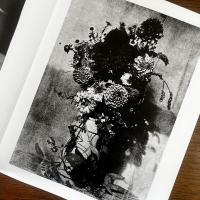 Flora Photographica: Masterpieces of Flower Photography from 1835 to the Present