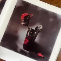 Toni Catany, photographies, 1976-1993