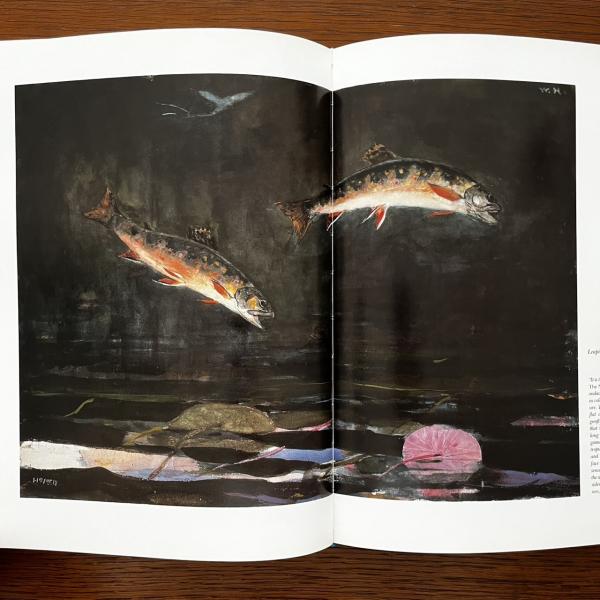 ウィンスロー・ホーマー作品集 WINSLOW HOMER THE LIBRARY OF AMERICAN