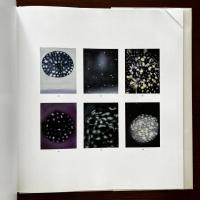 ロス・ブレックナー作品集 Ross Bleckner