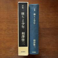 詩集 堕ちよ少年 謹呈署名入り