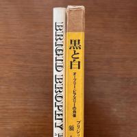 黒と白 : オーブリー・ビアズリーの肖像