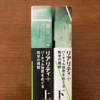 Reality+ 　リアリティ+　バーチャル世界をめぐる哲学の挑戦　上下2冊