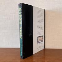 森の博物館原物標本 : 日本人として知っておきたい木30種