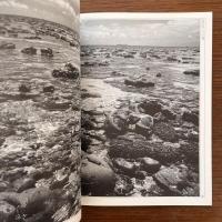 季刊 自然と文化 39 特集：アジア海道 1993年新春号
