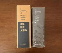 英語語法大事典：a dictionary of current English usage