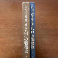 写真で見る八戸の戦後史 : ふるさとの想い出　別巻