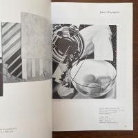 1981 Biennia lExhibition