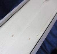 戦後の音楽 　 芸術音楽のポリティクスとポエティクス