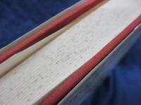 生態平和とアナーキー  ドイツにおけるエコロジー運動の歴史