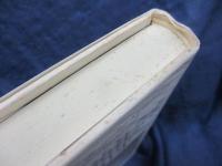 ドイツ中間層の政治社会史  1871～1990年