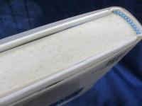 ベルリン、愛の物語 エメーとジャガー