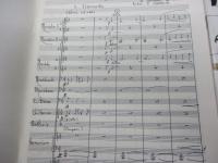 楽譜/マンドリン/アメデオ・アマデイ組曲集1-2 2冊セット/手書き版/中野二郎編集/ギター・マンドリン音楽新曲シリーズ/
