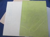 年中行事 : 吉原大雜笑