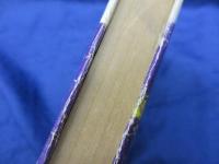 性の素描  ブラック・ブック