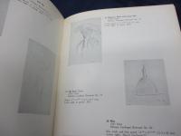 洋書/マルセル デュシャン/Marcel Duchamp/66 creative years /from the first painting to the last drawing over 260 items/
