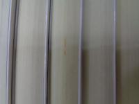 Wシリーズ 1-10巻 10冊セット　森博嗣/講談社タイガ/彼女は一人で歩くのか　他
