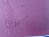 洋書/写真集/Gilbert Fastenaekens /Nocturne/