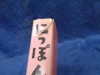 にっぽん・あなあきい伝