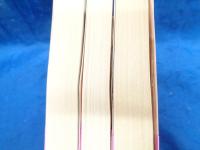 ゲーテとの対話 上中下揃  岩波文庫