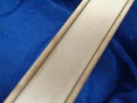 アンドロギュノスの裔