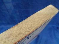 サイレント・パルス 　宇宙律との遊星的共振