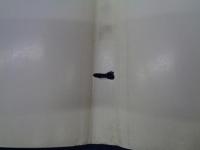 安田成美写真集