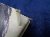 安田成美写真集