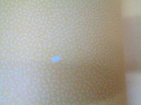 南野陽子　スケバン刑事Ⅱ写真集　MEMOIRE