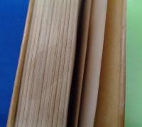 マルドロオルの歌