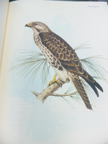 シーボルト　日本鳥類図譜　聖文社 シーボルト日本鳥類図譜 / 古本、中古本、古書籍の通販は「日本の