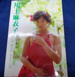 川上麻衣子  暑い国夢の国生まれた国